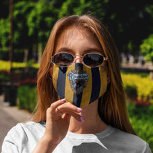 Load image into Gallery viewer, Movie HP Ravenclaw House Custom Face Mask
