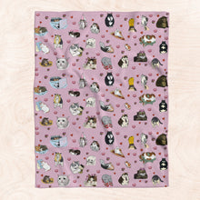 Load image into Gallery viewer, Sad Cat Meme Pink Custom Soft Blanket
